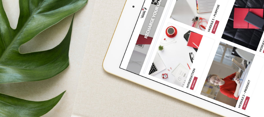 Enhanced-Potential_Coaching-Package-Rechargey-Your-Career01