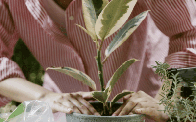 When Career Doubt Is Actually a Sign of Growth