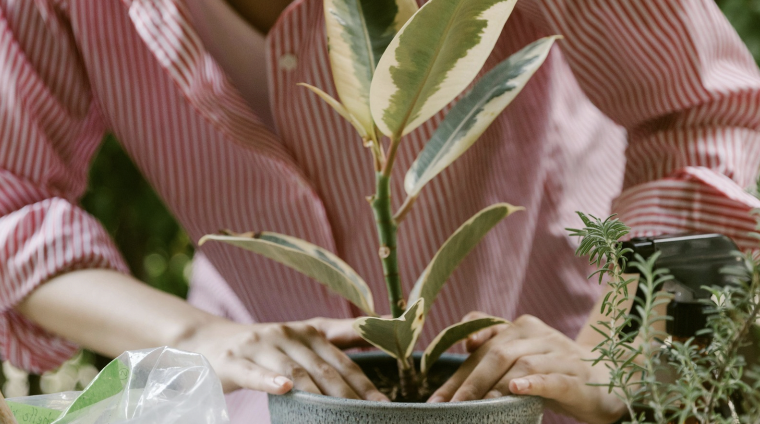 Screen Shot 2026-03-15 at 10.31.41 PM