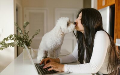 The Real Reason You’ve Fallen Out of Love with Your Mondays